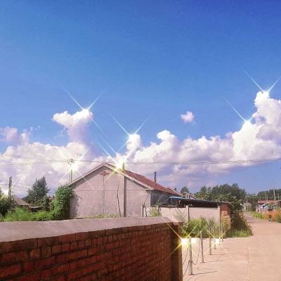 小小霸主果盘版下载